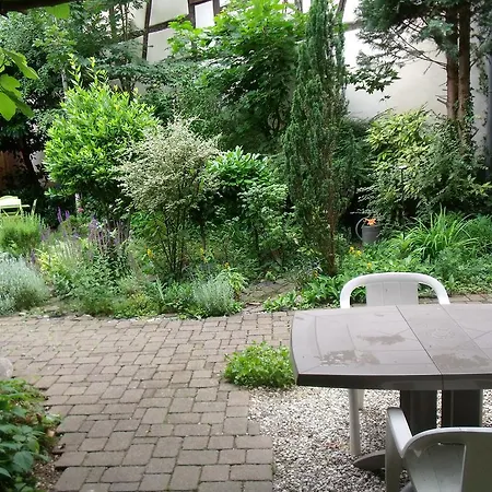 Apartment La Grenouillere *